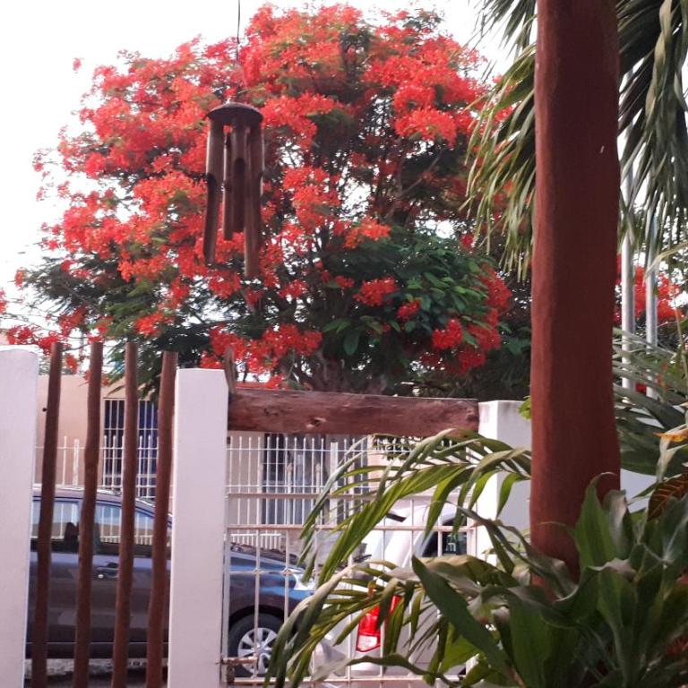 Casa Nona Azul - Apartment with Garden View - 39