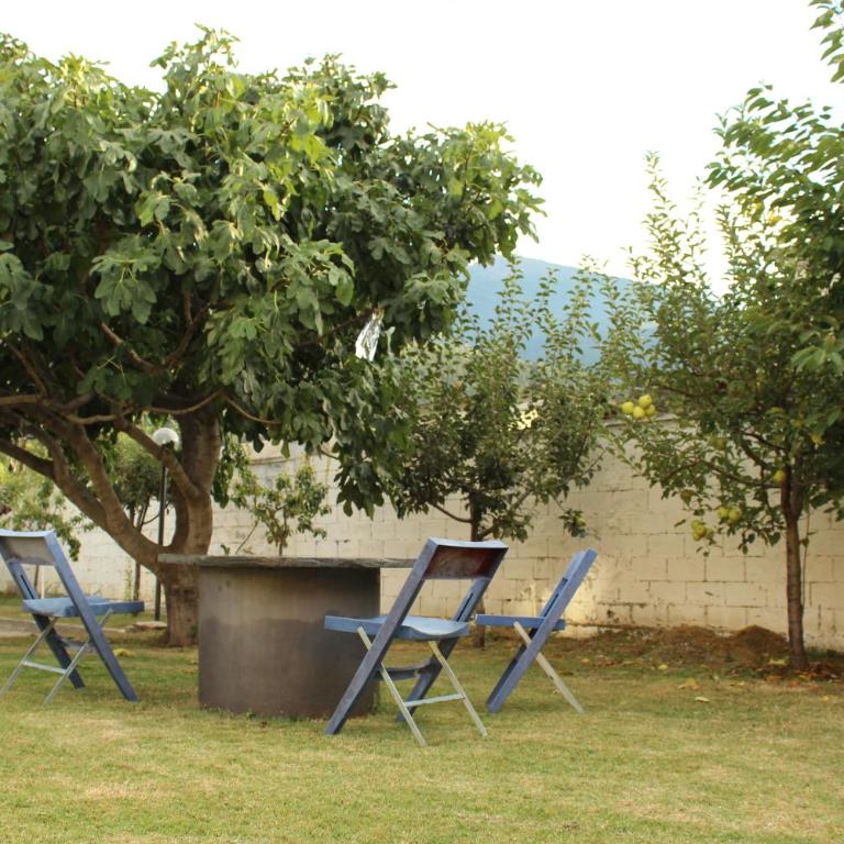 APPARTAMENTO quattro - CIR 0008 - Appartamento con Vista Giardino - 26