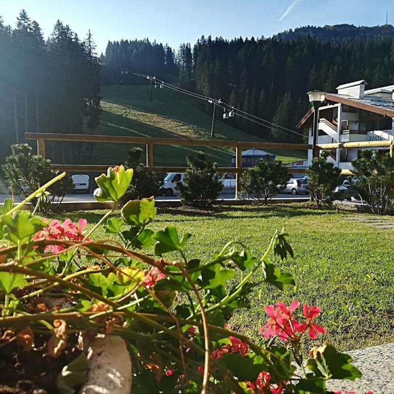 Chalet Golf Campiglio / LuxApt / fronte piste-impianti-golf - Appartamento con Vista Montagna - 25