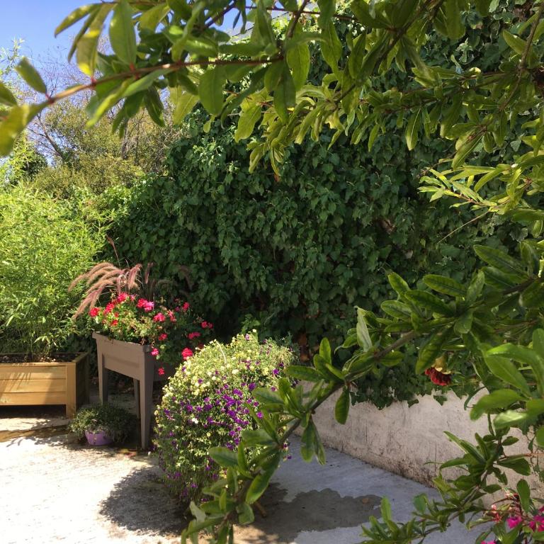 PETIT STUDIO de L'ERMITAGE - Studio - 26