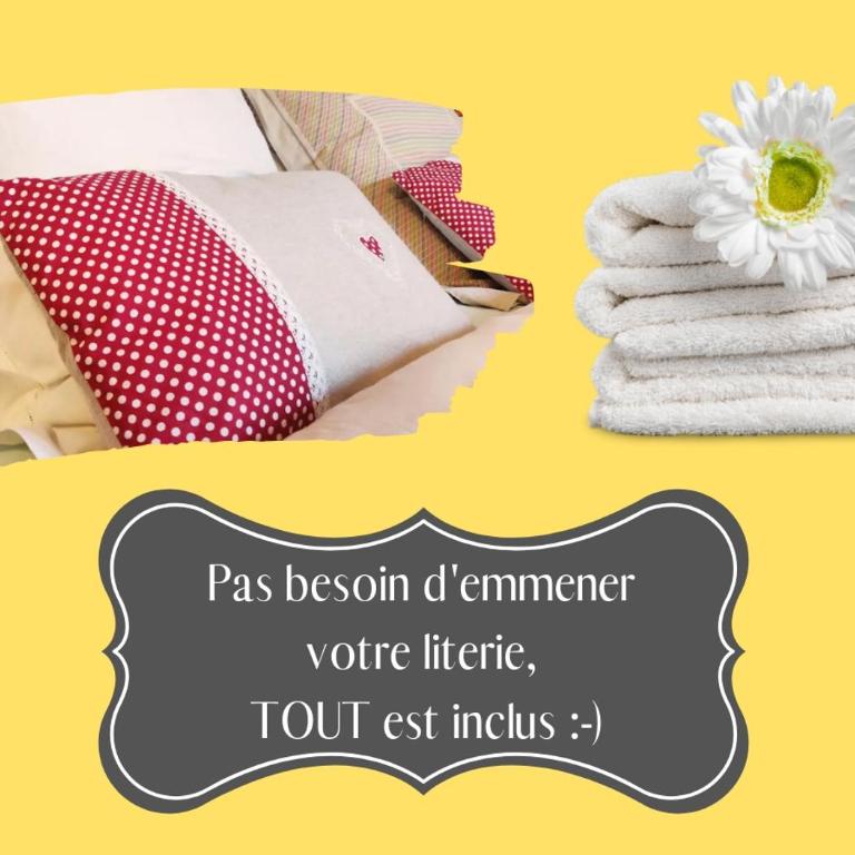☆ CHARMANT 2 PIECES, Calme & Lumineux - CENTRE VILLE ☆ - Apartment - 24