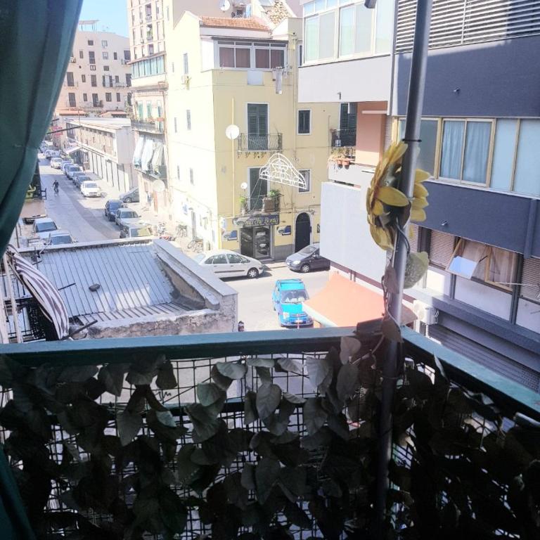 Dolce casa centro storico di Palermo new 2023 - Appartamento - 18