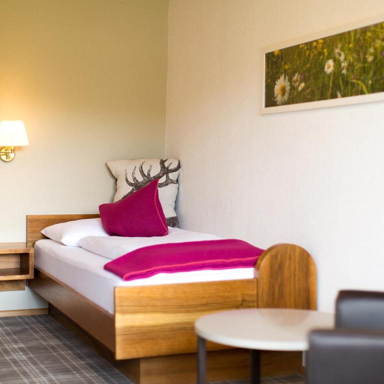 Hotel Garni Römerhof - Single Room with Balcony - 1