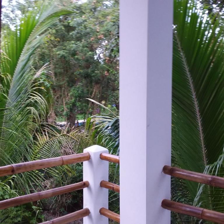 MINI PINI BIRD WATCHING AND CENOTE Loft - Villa de 1 dormitorio - 25