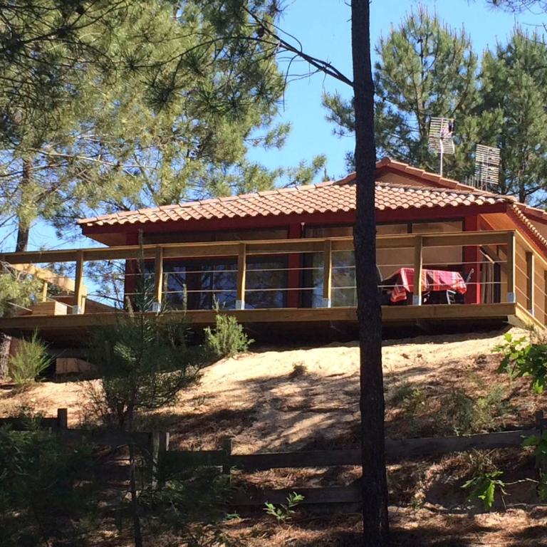 Maison de vacances sous les pins - Maison 2 Chambres - 1