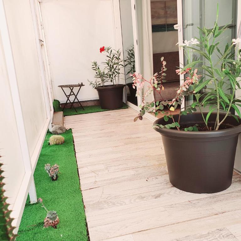 Bungalow 2-7 Playa del Ingles - Apartamento - 13