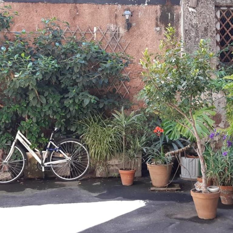 Sant'Anna house: nel cuore della Catania antica! - One-Bedroom Apartment - 17