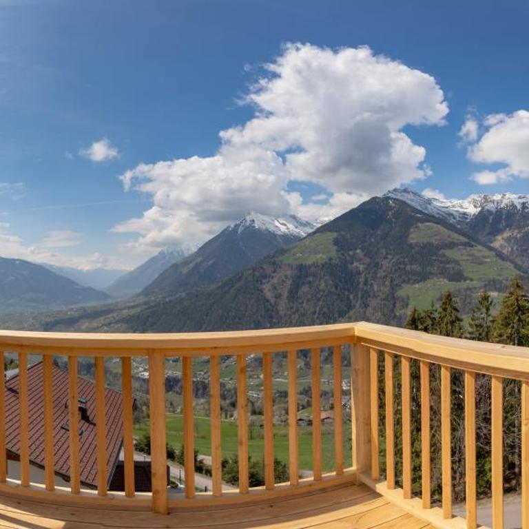 Mountain Village Hasenegg - Chalet - 1