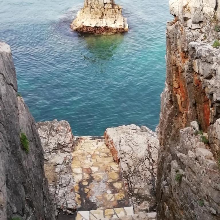 Apartman Marinkovic - Apartment with Sea View - 23