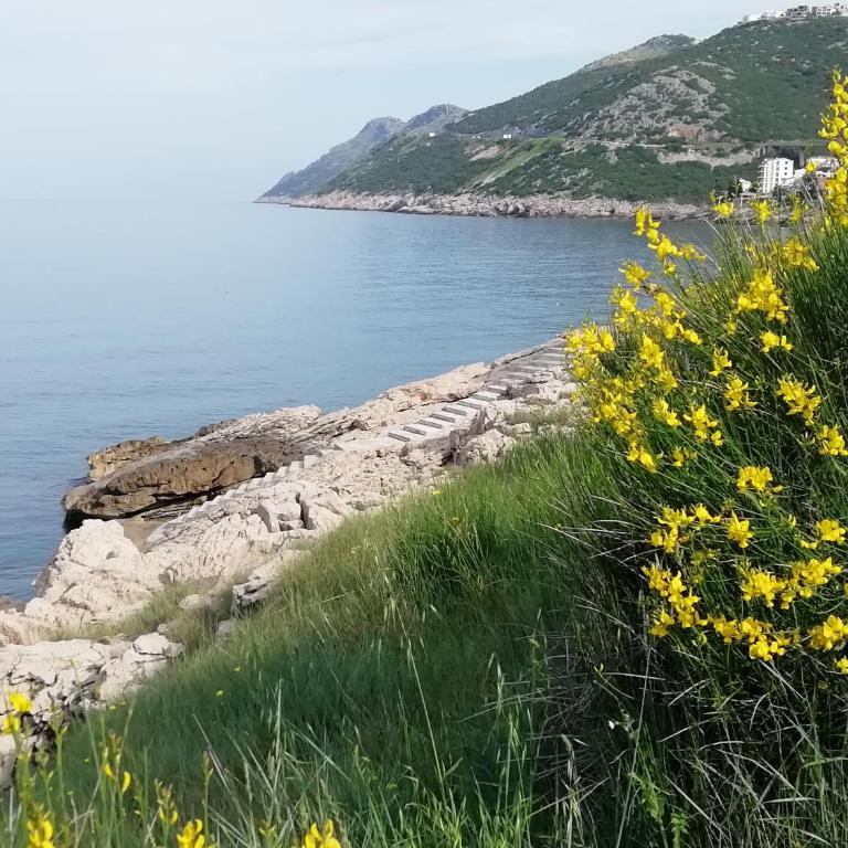 Apartman Marinkovic - Apartment with Sea View - 24