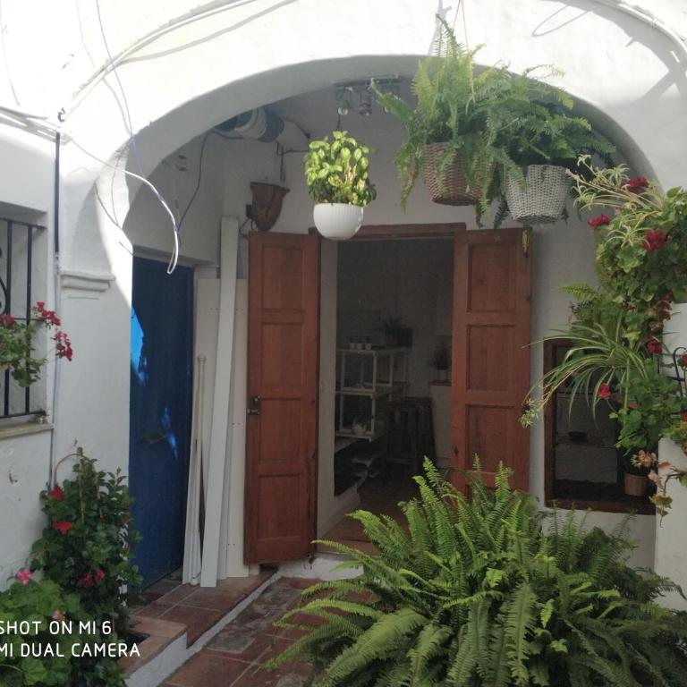 The best in the center of Tarifa 2 - Estudio con 1 cama grande - 16