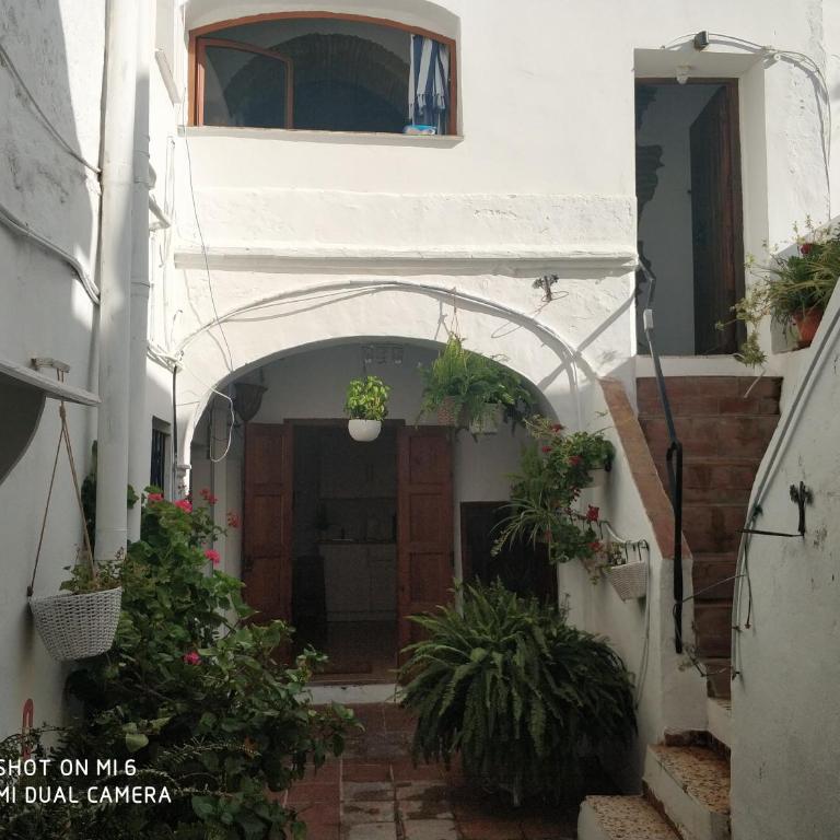 The best in the center of Tarifa 2 - Estudio con 1 cama grande - 24