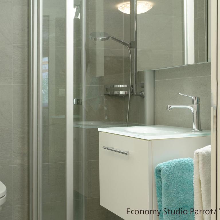 Zermatt Appartements - Economy Studio Parrot - 3