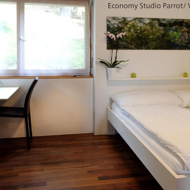 Zermatt Appartements - Economy Studio Parrot - 4