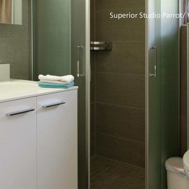 Zermatt Appartements - Superior Studio Parrot - 5
