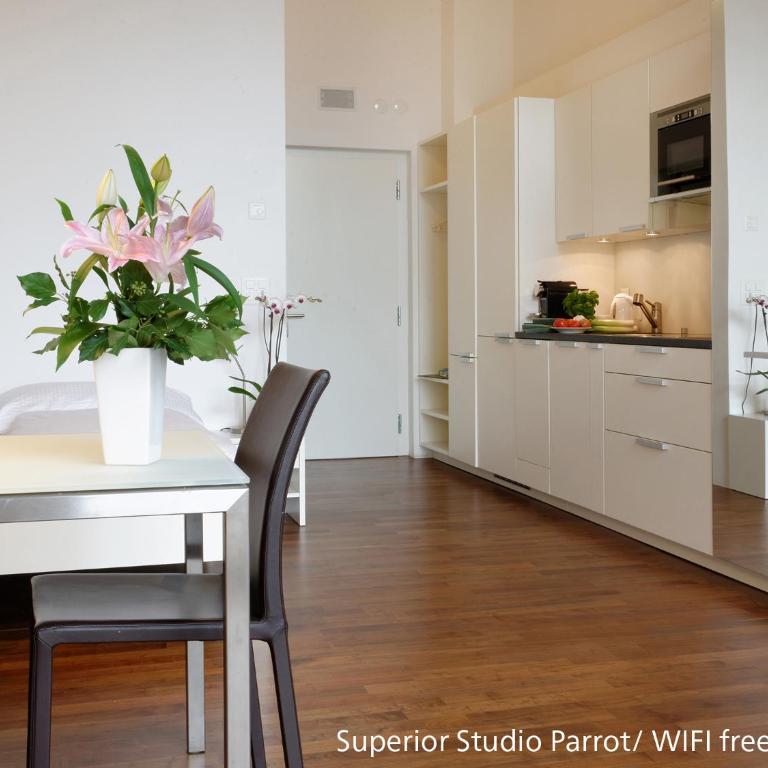 Zermatt Appartements - Superior Studio Parrot - 4