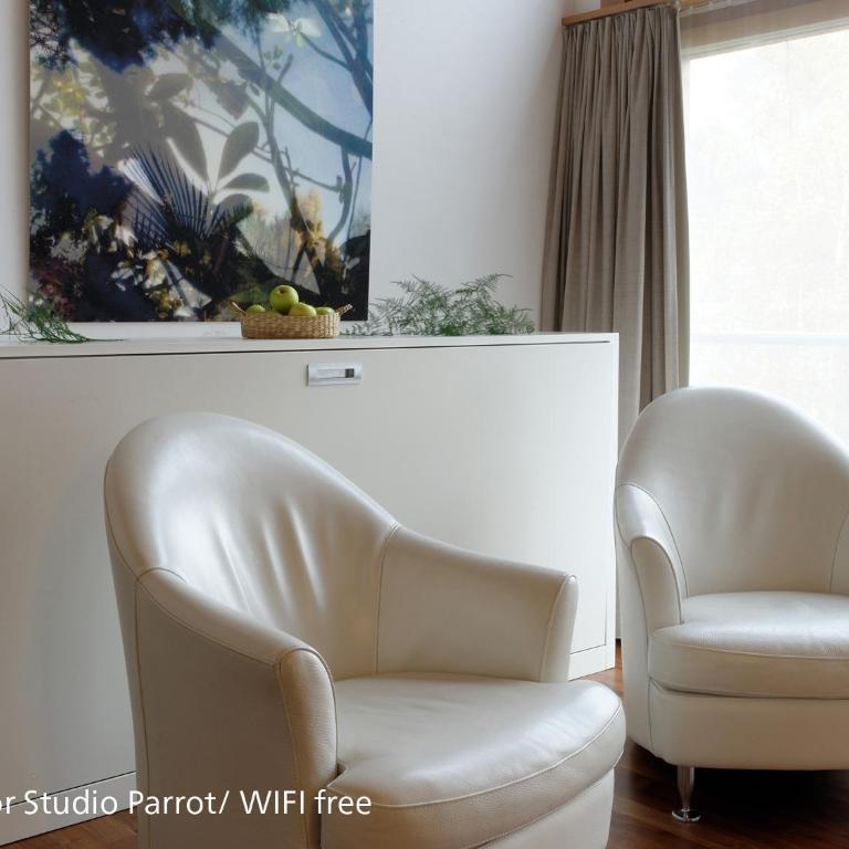 Zermatt Appartements - Superior Studio Parrot - 6