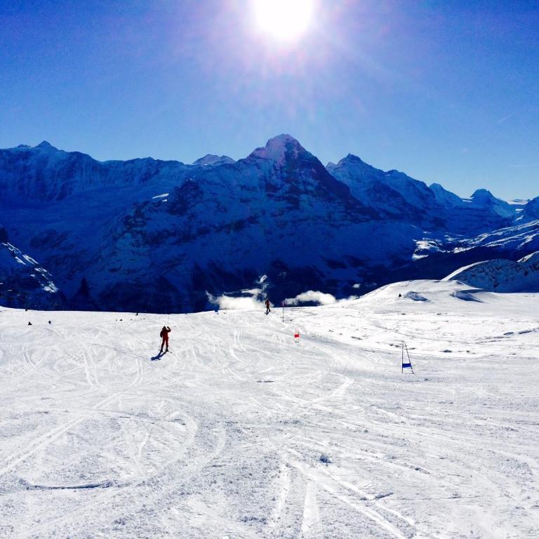 Luxury, new - amazing views Grindelwald Eiger Jungfrau Mönch - Three-Bedroom Apartment - 28