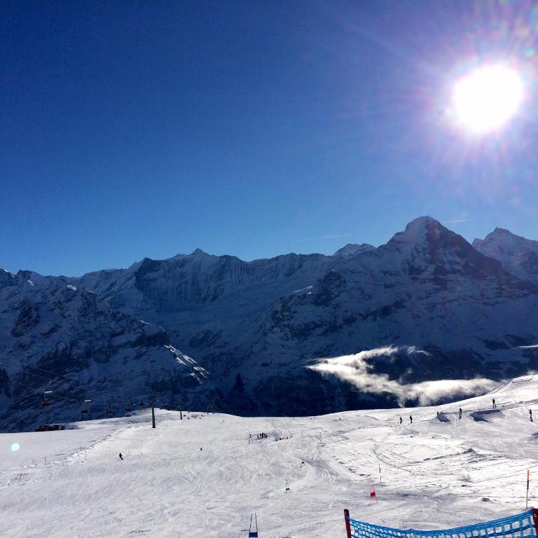 Luxury, new - amazing views Grindelwald Eiger Jungfrau Mönch - Three-Bedroom Apartment - 29