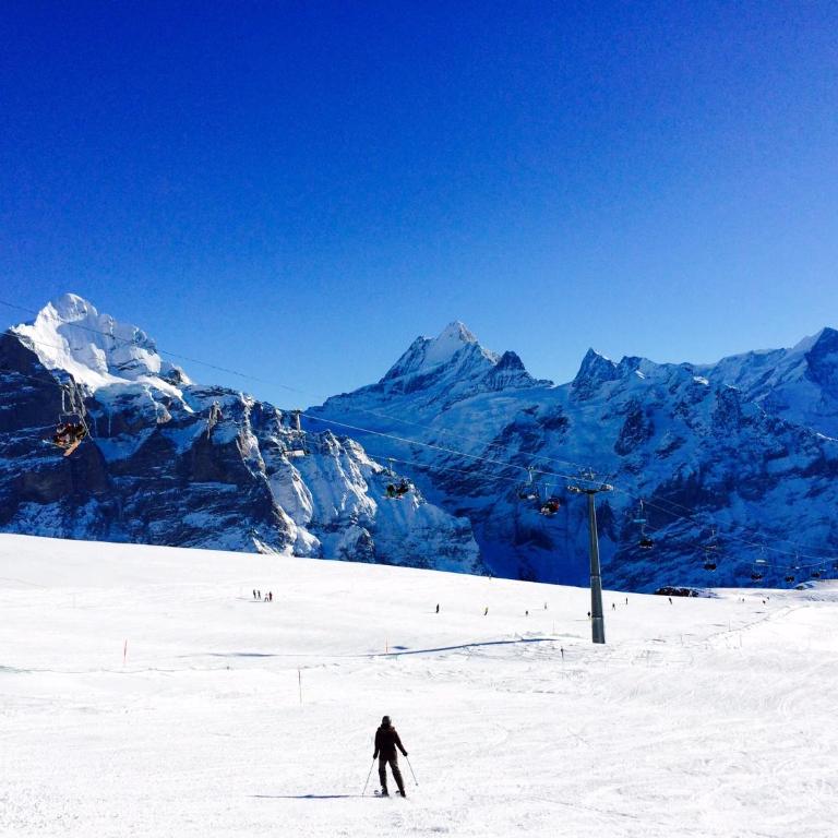 Luxury, new - amazing views Grindelwald Eiger Jungfrau Mönch - Three-Bedroom Apartment - 30