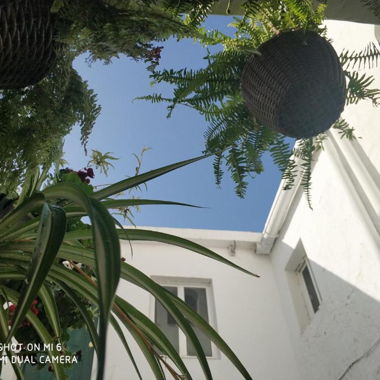 The best in the center of Tarifa 2 - Estudio con 1 cama grande - 9