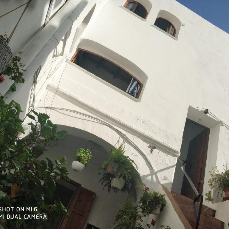 The best in the center of Tarifa 2 - Estudio con 1 cama grande - 30