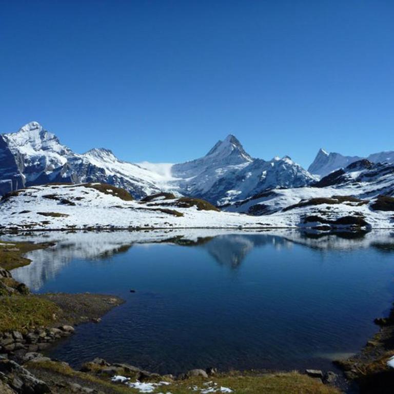 Luxury, new - amazing views Grindelwald Eiger Jungfrau Mönch - Three-Bedroom Apartment - 25