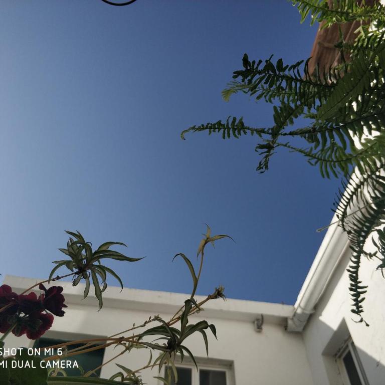 The best in the center of Tarifa 2 - Estudio con 1 cama grande - 19