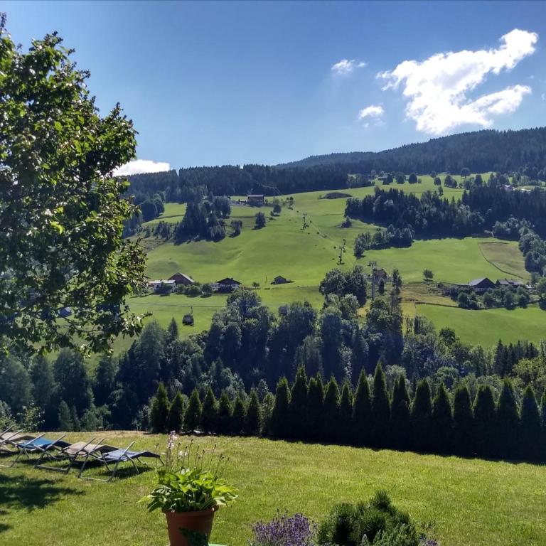 Landhaus Hinteregg Apartment - Apartment mit Blick auf die Berge - 26