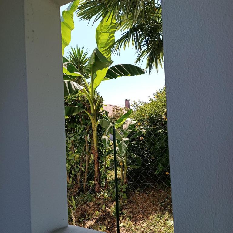 Colline de la bergerie - Appartement - Rez-de-Chaussée - 24