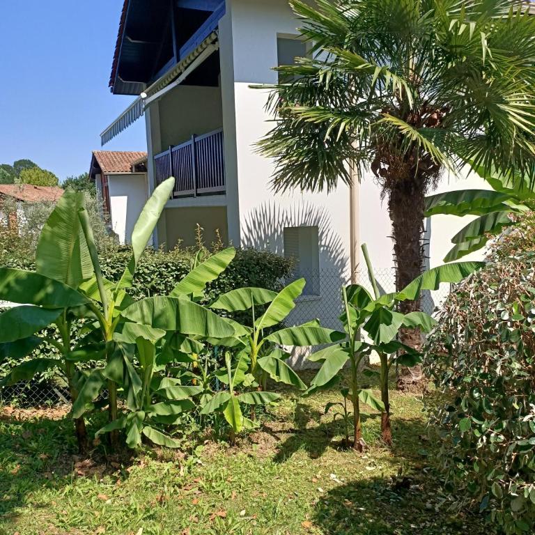 Colline de la bergerie - Appartement - Rez-de-Chaussée - 25