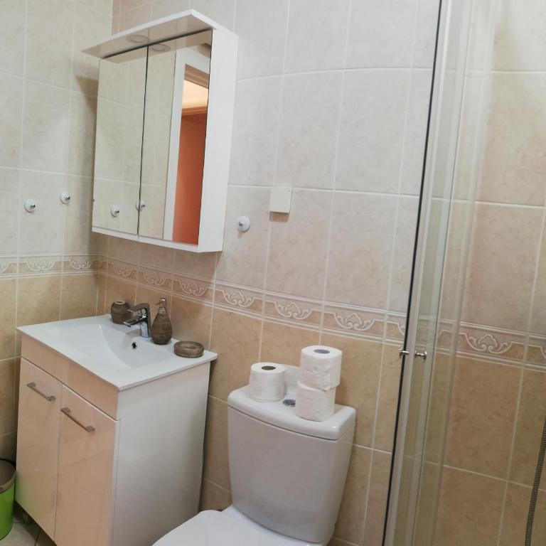 Apartman Stijepčić - Apartment - 46