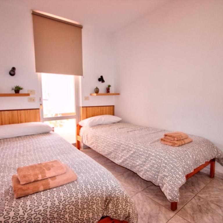 Bonito Apartamento 105 by CASAS COCODRILO - Apartamento - 3