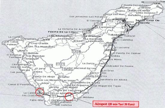 Las Terassas- Playa de las americas - Ténérife- Espagne - Apartamento de 1 dormitorio - 23