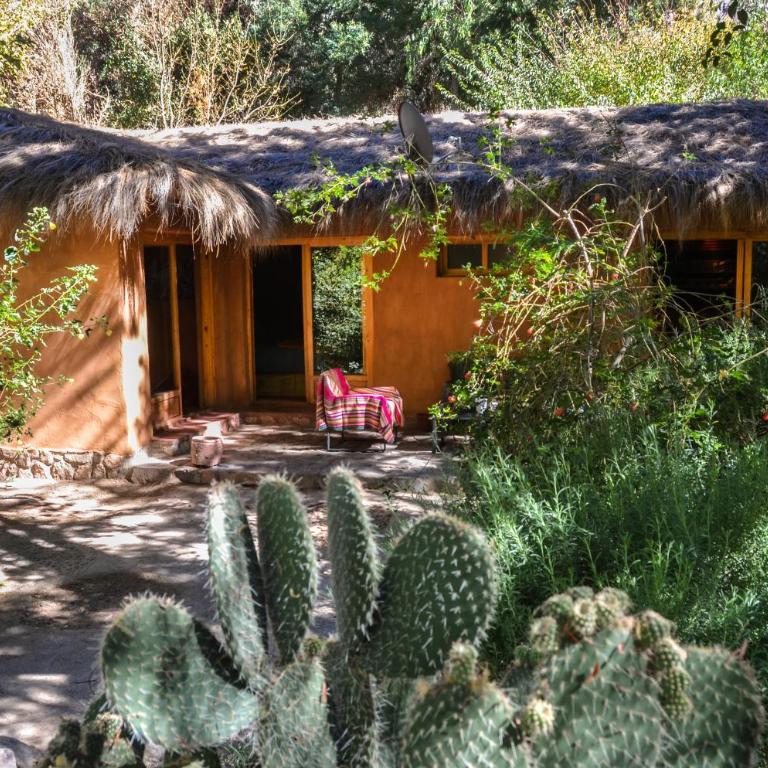 CASA PATAY ELQUI - Casa de 2 dormitorios - 25