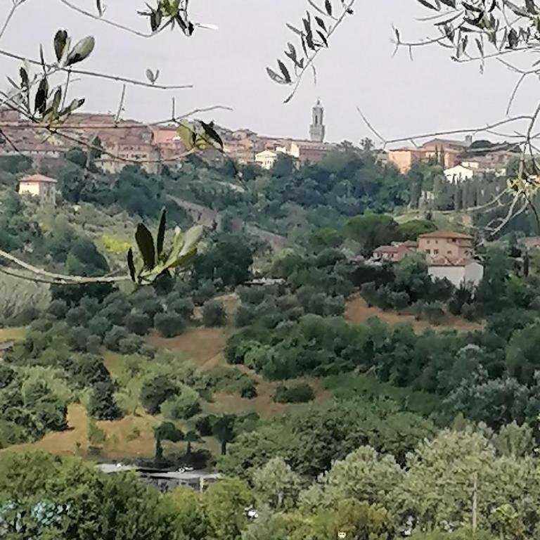 Panorama di Siena - Two-Bedroom Apartment - 7