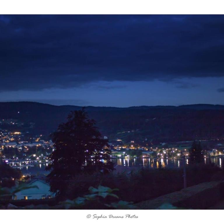 le bleu du lac Sauna et Spa - Chalet - 36
