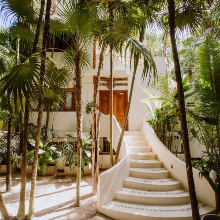 Palms house - Casa de 4 dormitorios - 20