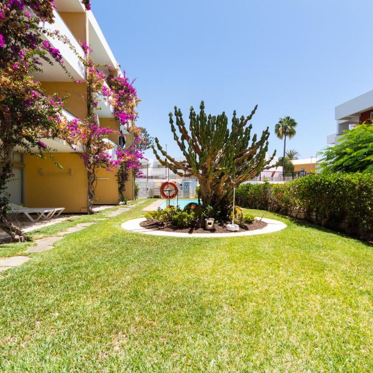 Apartamentos Melusina en Playa del Inglés al lado de la playa y las Dunas de Maspalomas - Apartamento con 1 dormitorio y acceso a la piscina - Planta baja - 8