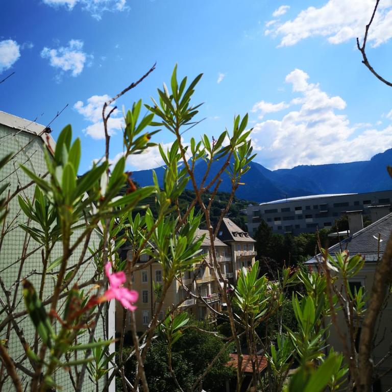 Spazioso e accogliente nel centro di Merano - Two-Bedroom Apartment - 20