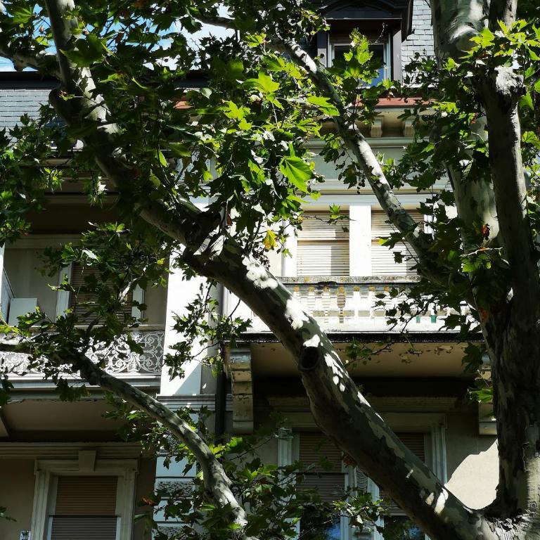 Spazioso e accogliente nel centro di Merano - Two-Bedroom Apartment - 21