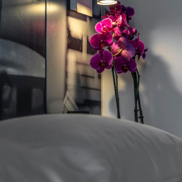 Residence Filmare - Suite (3 Adults) - 19