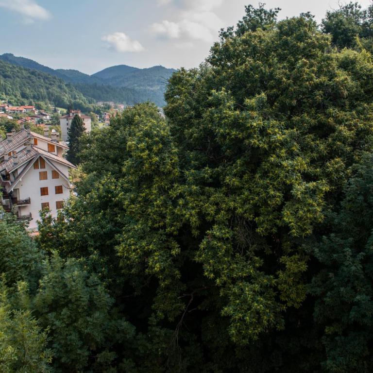 Mansardato In Lurisia - Apartamento - 23