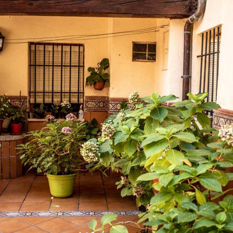 Atico con vistas - Apartamento de 2 dormitorios - 22