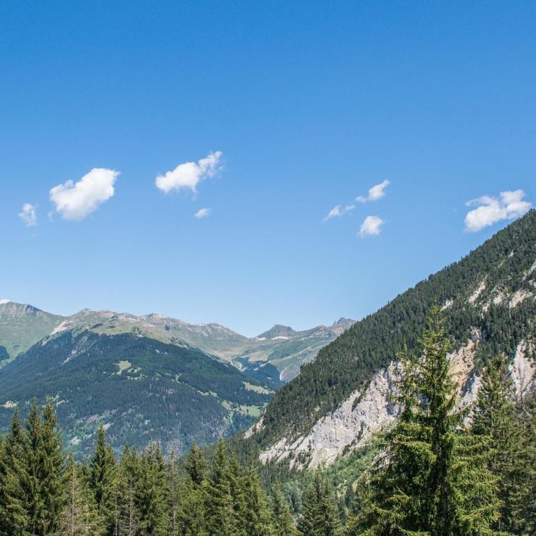 Canyon Lodge by Alpine Resorts - Chalet Supérieur - 9