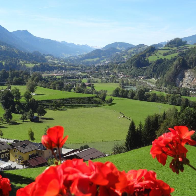 Pension Appartements Reithof - Doppelzimmer - 1