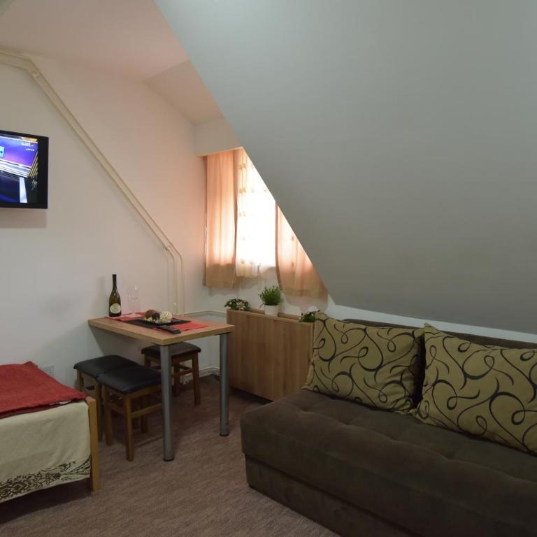 Apartmani Kopaonik Centar Maglic - Studio Apartman - 4
