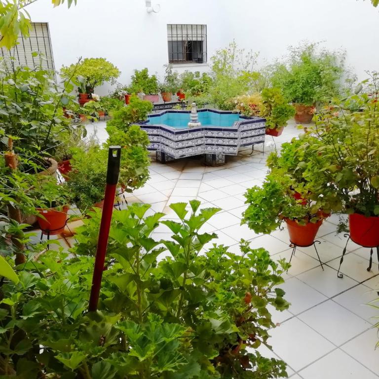 Patios de San Rafael - Apartamento de 3 dormitorios - 18