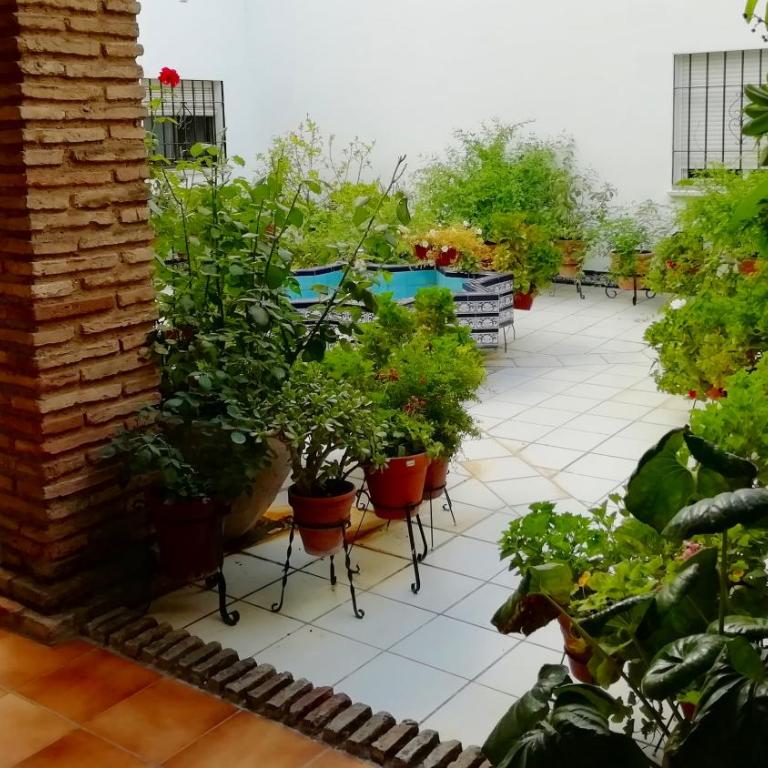 Patios de San Rafael - Apartamento de 3 dormitorios - 17