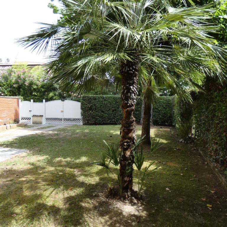 Villa Allende in Forte dei Marmi - Casa con 3 Camere da Letto - 34